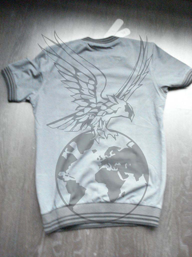 resized_Lacost-3-back